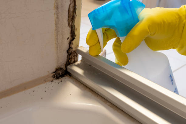 Best Emergency Mold Removal  in Appleton, WI