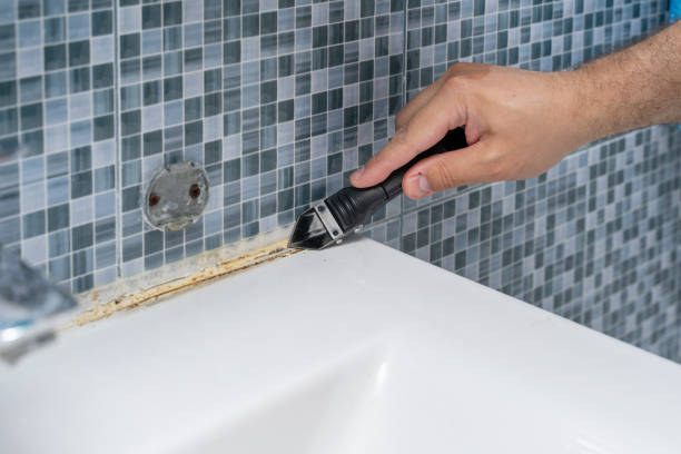 Best Mold Testing  in Appleton, WI